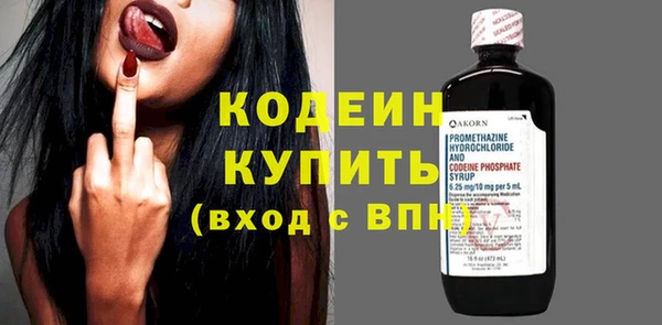 прущие грибы Верея