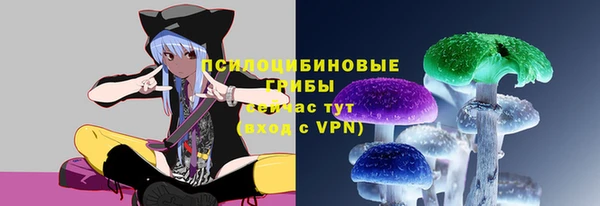 мдпв Верхнеуральск