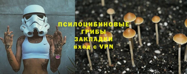 эйфоретик Вязьма